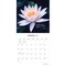 Jewel of the Lotus | 2024 12 x 24 Inch Monthly Square Wall Calendar | Brush Dance | Photography Quotations Flowers Floral